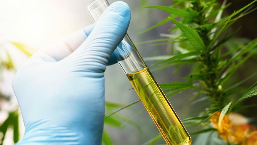 How is CBD Extracted from Cannabis? Common Methods