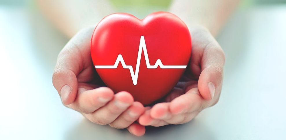 CBD Heart Health