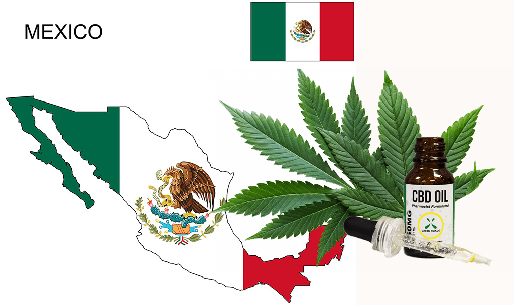 CBD Oil in New Mexico (Updated 2021)