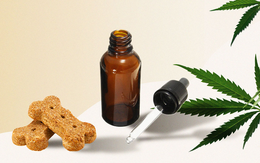 Treating-Your-Dog-with-CBD