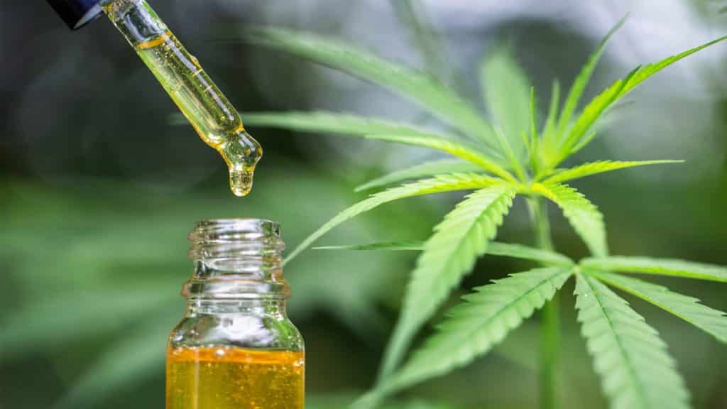 Concentration Is Key: How CBD Oil Can Help With Online Classes