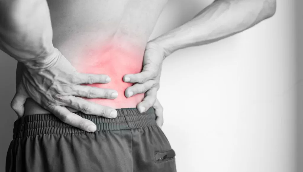 Understanding CBD and Back Pain