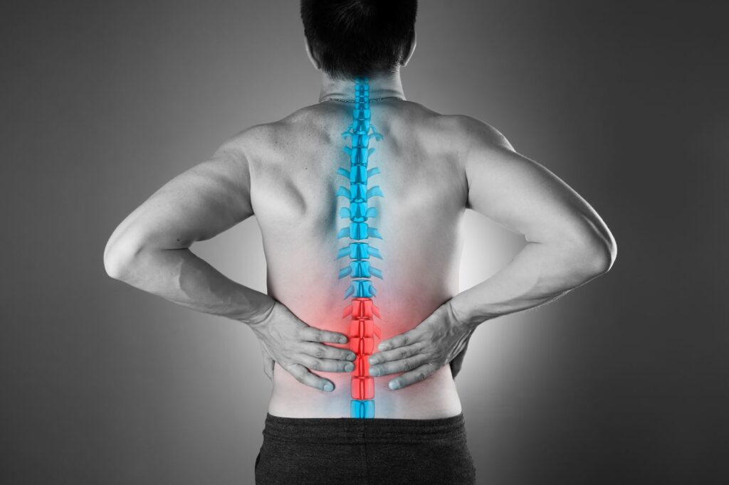 Back Pain facts